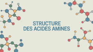 structures des acides amines molecule proteine illustration